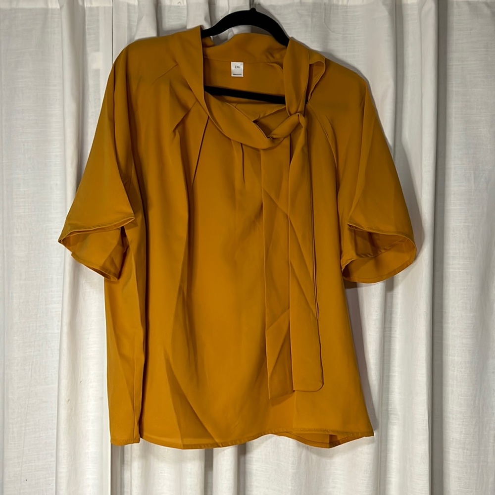 Mustard blouse 2x